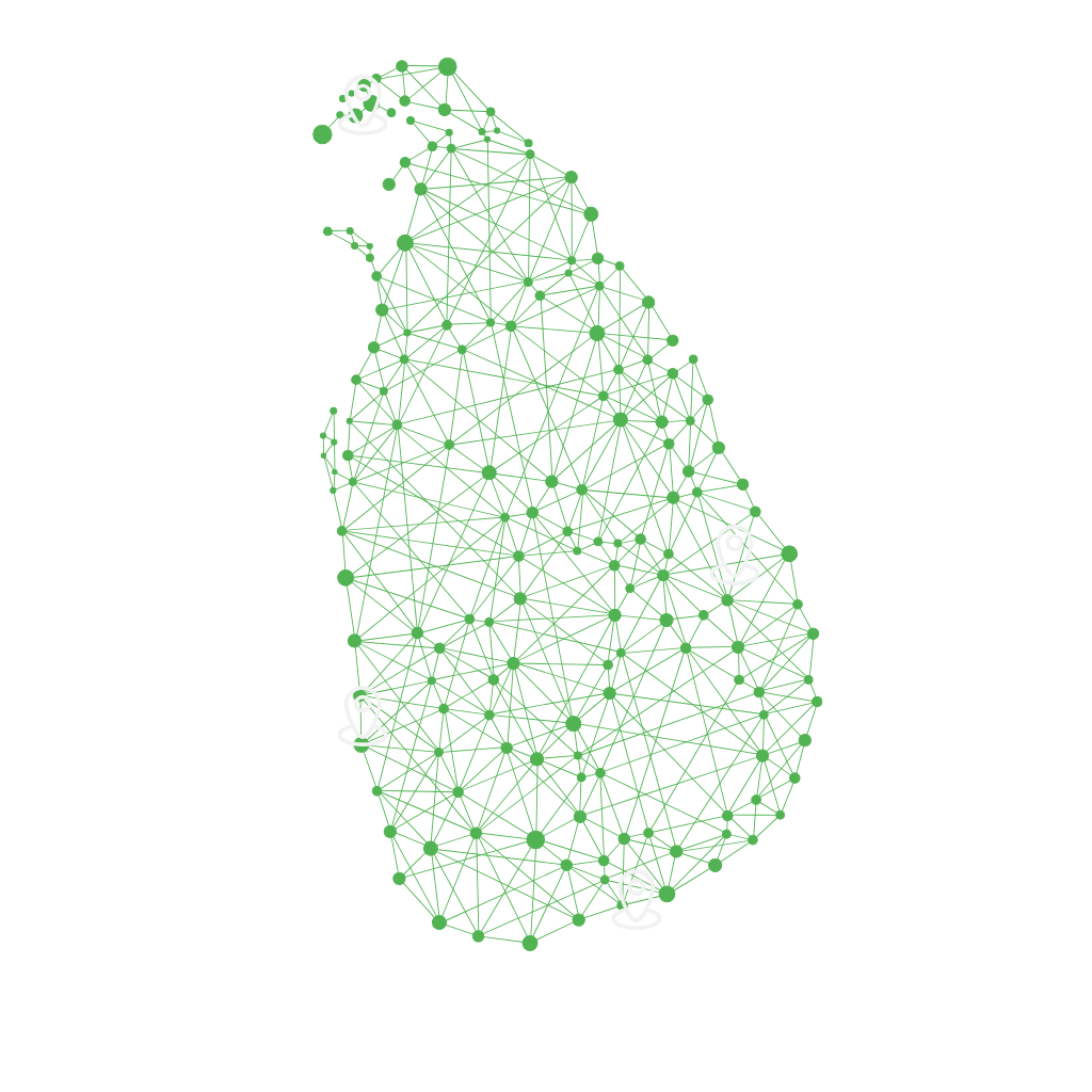Local SEO services Sri Lanka